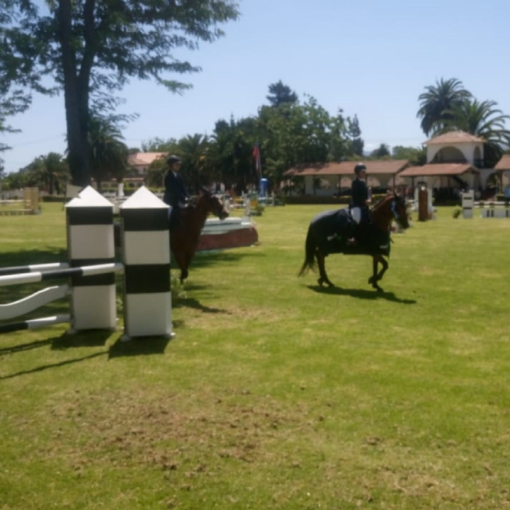 GRATO takes part in Summer 2019 Showjumping Competition